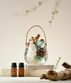 Whispering Woods (Premium Aromatherapy)